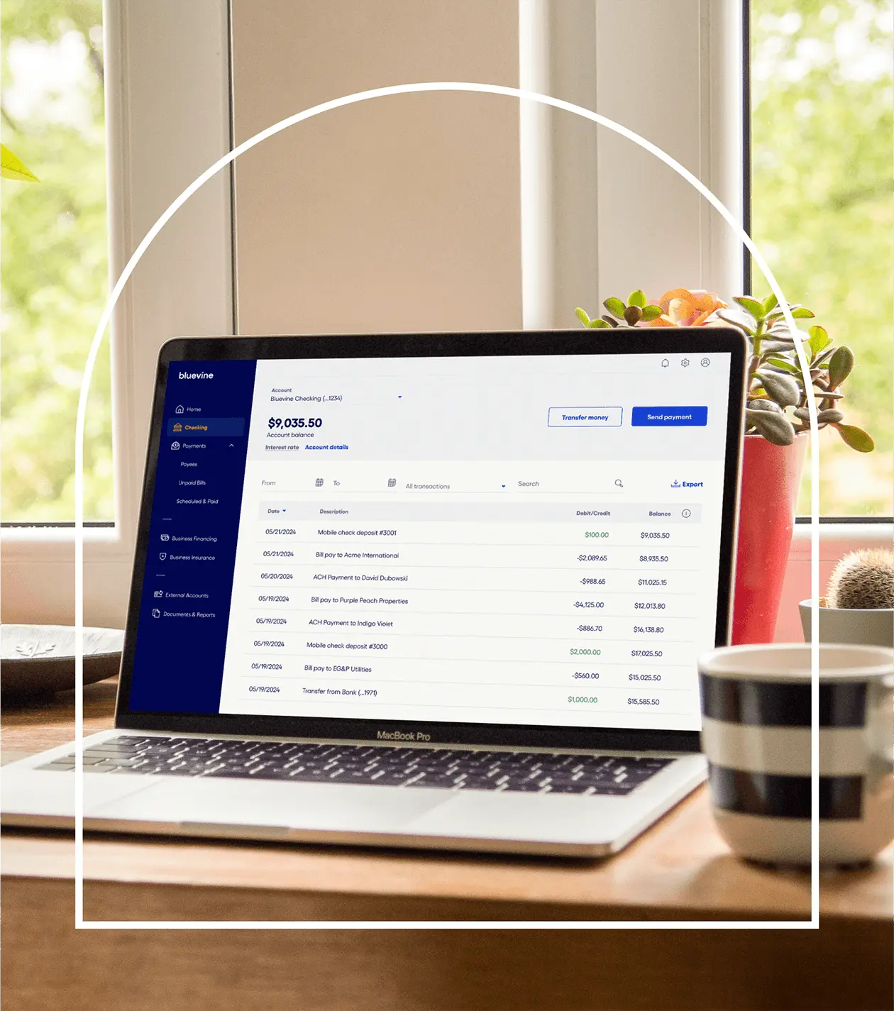 Computer screen showing a Bluevine checking account