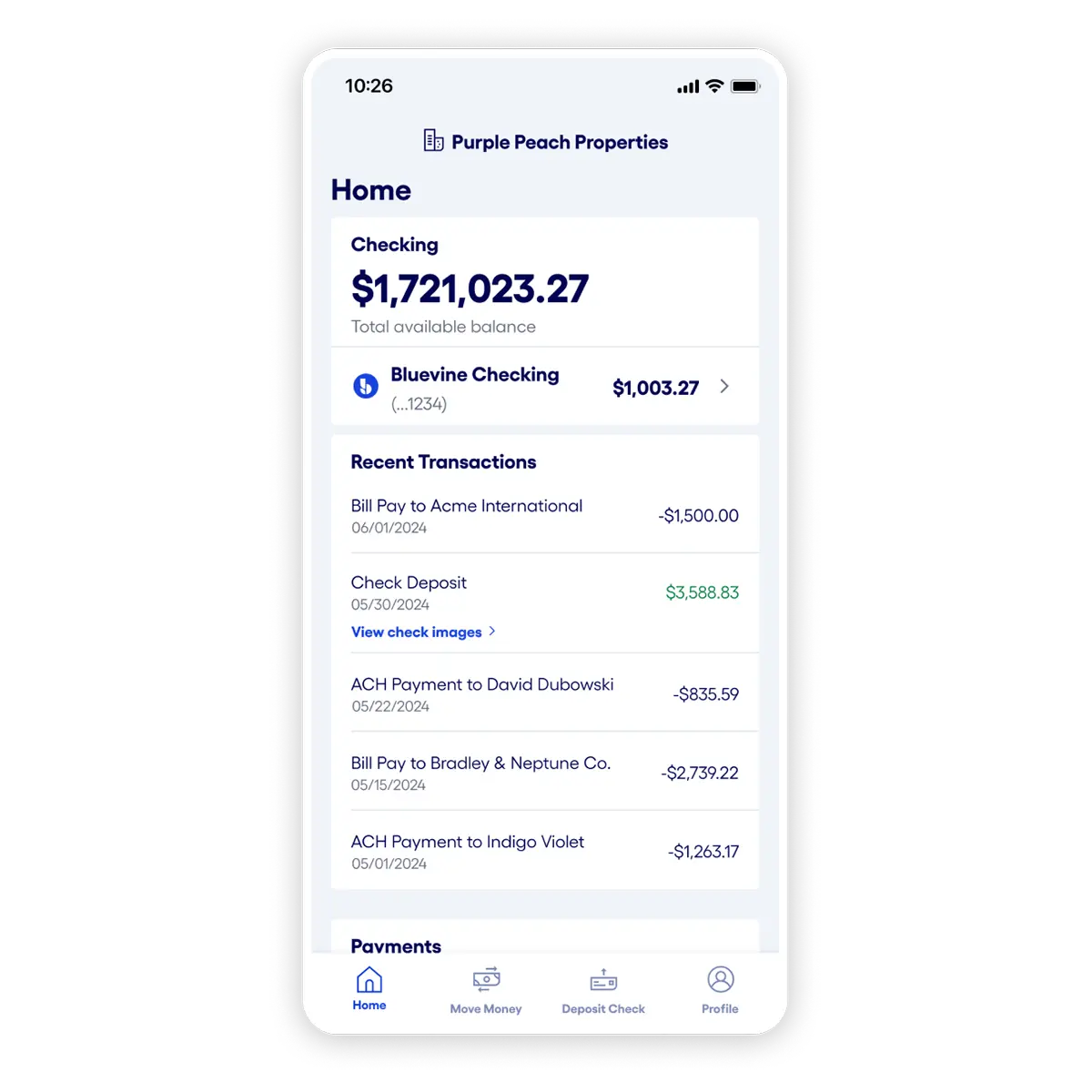 Bluevine accountants and bookkeepers