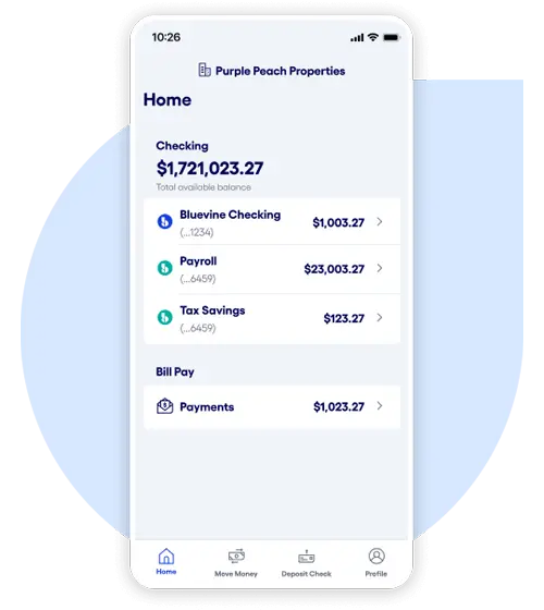 Bluevine Subaccounts Control Finances