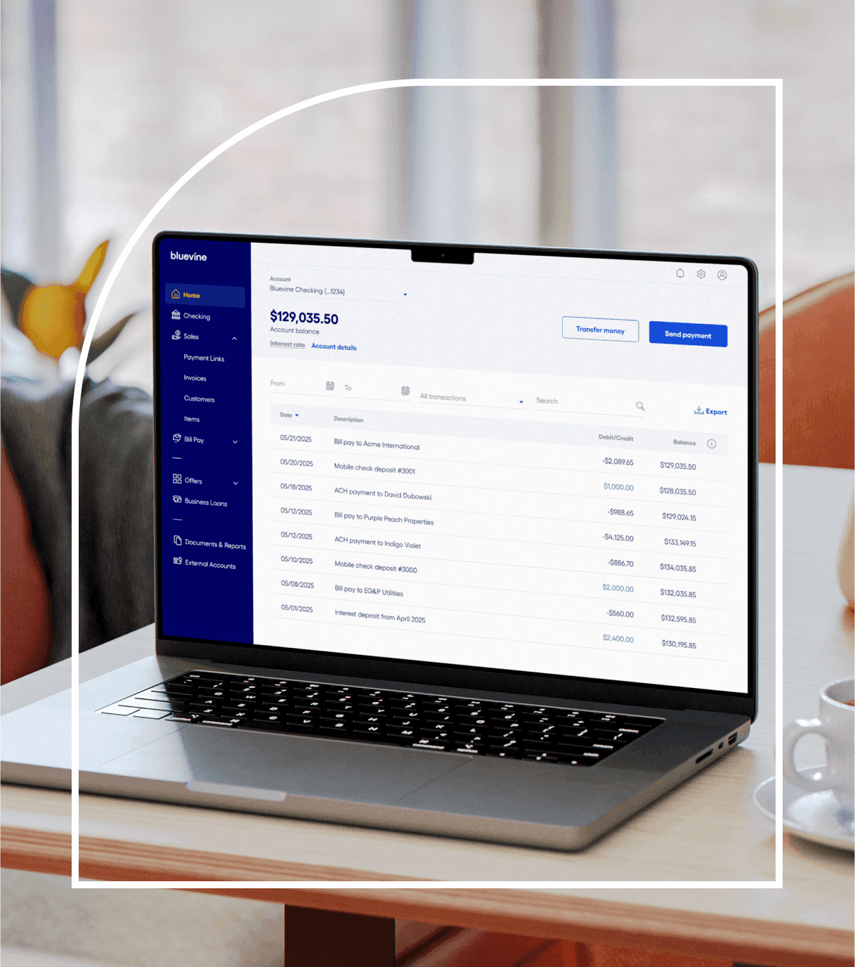 Computer screen showing a Bluevine checking account