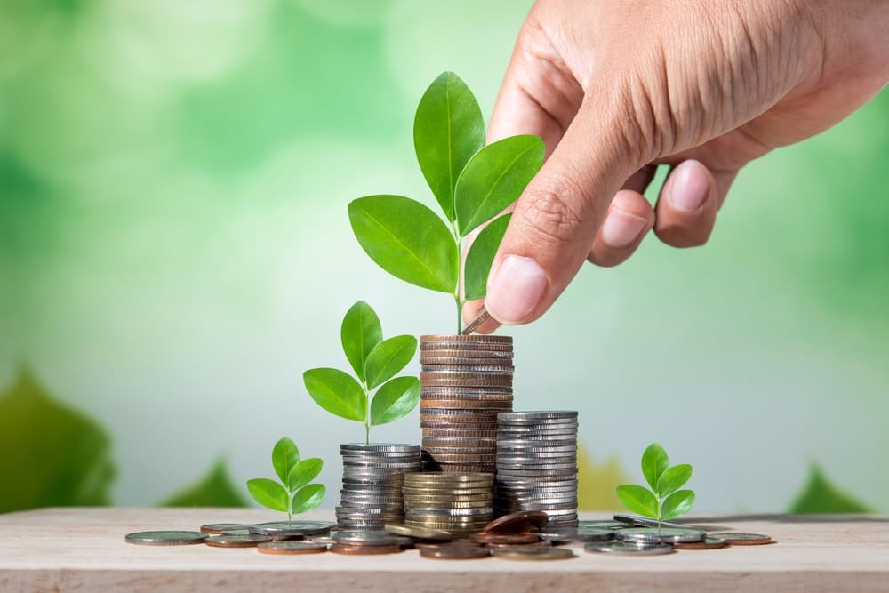 survival or growth loan for your small business