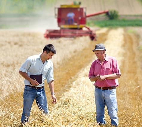 The advantages and disadvantages of bank loans for small businesses