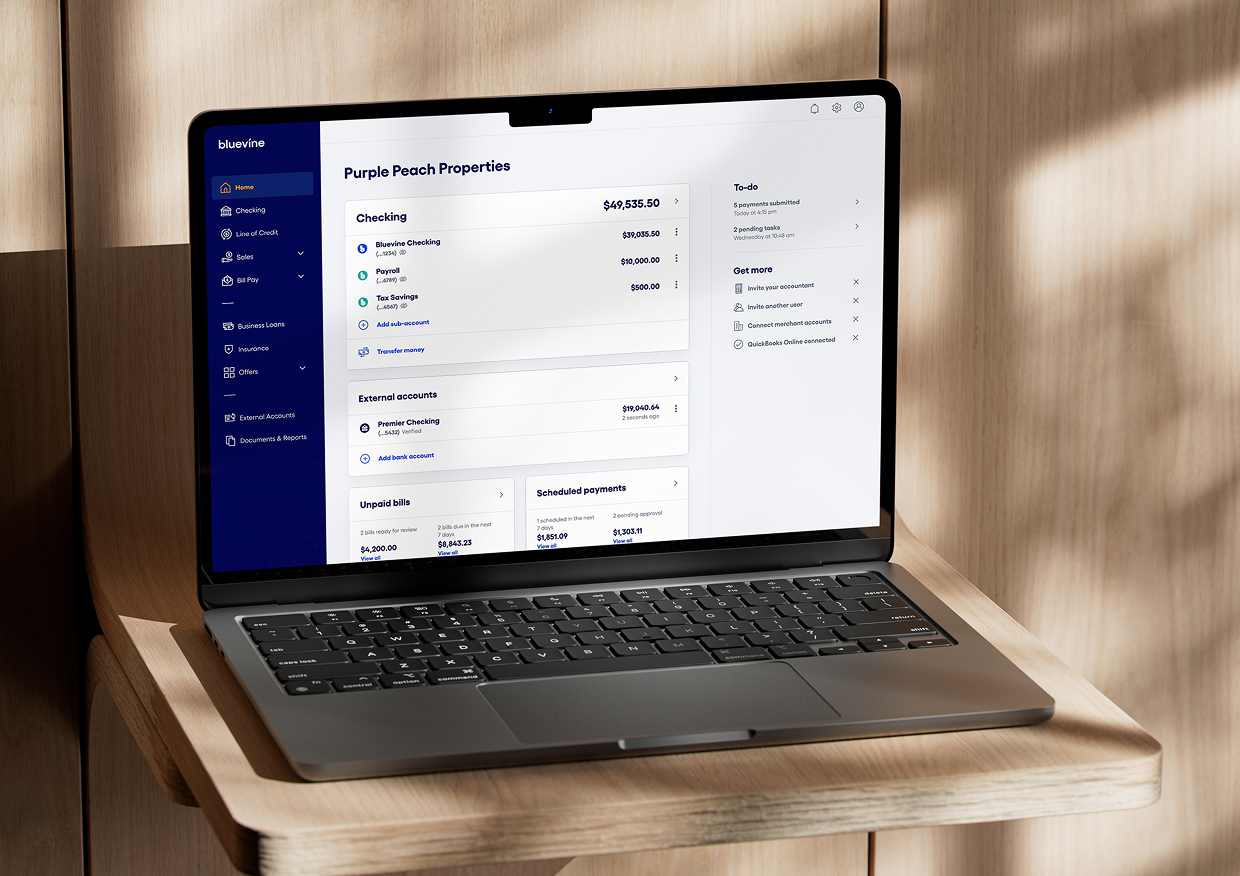 Bluevine Business Checking laptop dashboard
