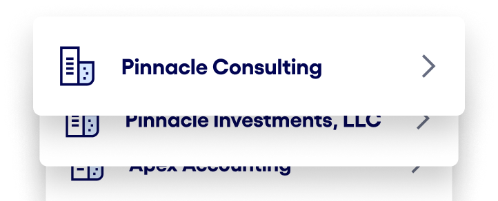 Business entity management interface