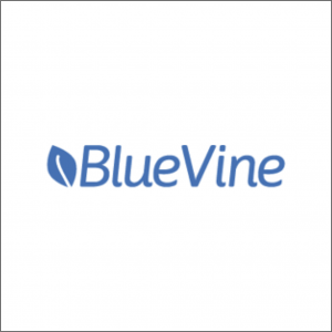 Bluevine logo