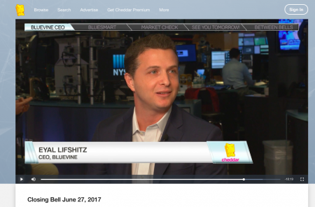 How Bluevine got started