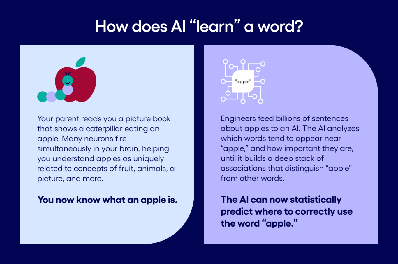 AI learns a word by analyzing billions of sentences to statistically predict where and how to correctly use the word.