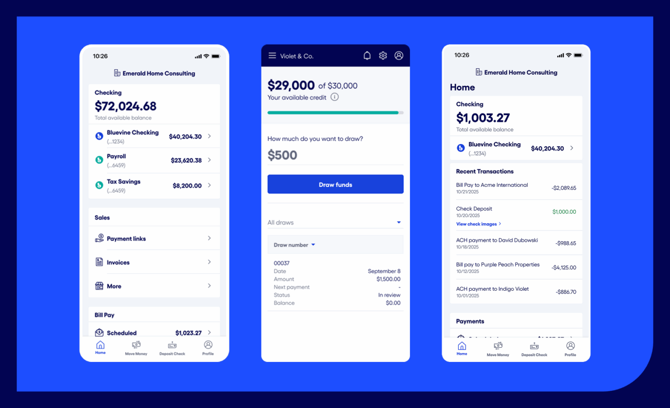 Bluevine mobile app screenshots displaying financial account dashboards, balances, recent transactions, and a credit draw feature for business banking.